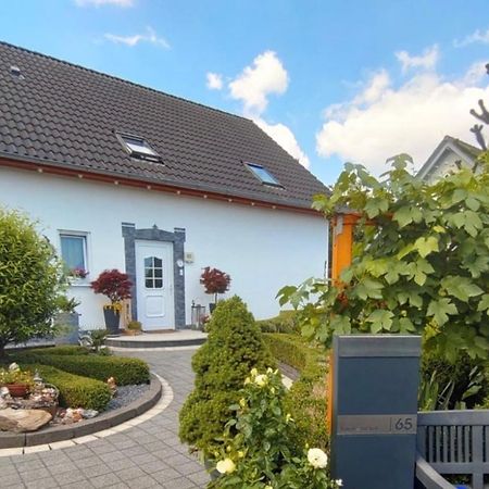 Ferienwohnung Rosa Horn-Bad Meinberg Zewnętrze zdjęcie